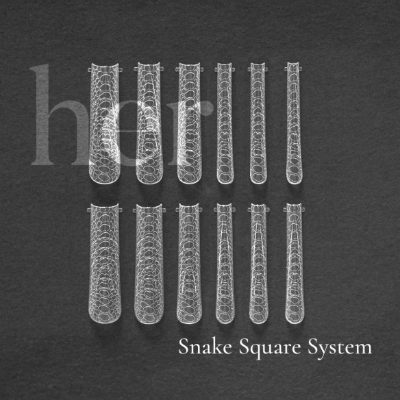 Smart Dual Forms Snake Square System 120pcs, HER
